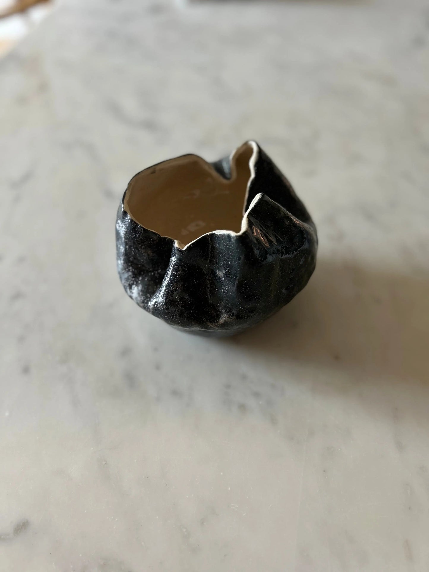 black vase morel