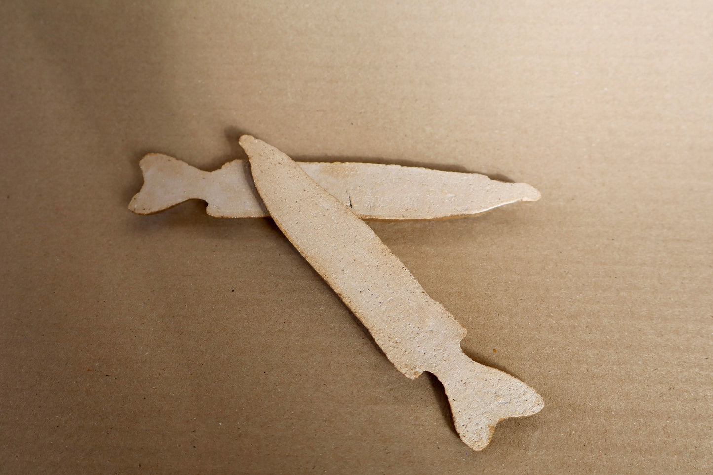 Poissons décoratifs, nouveauté