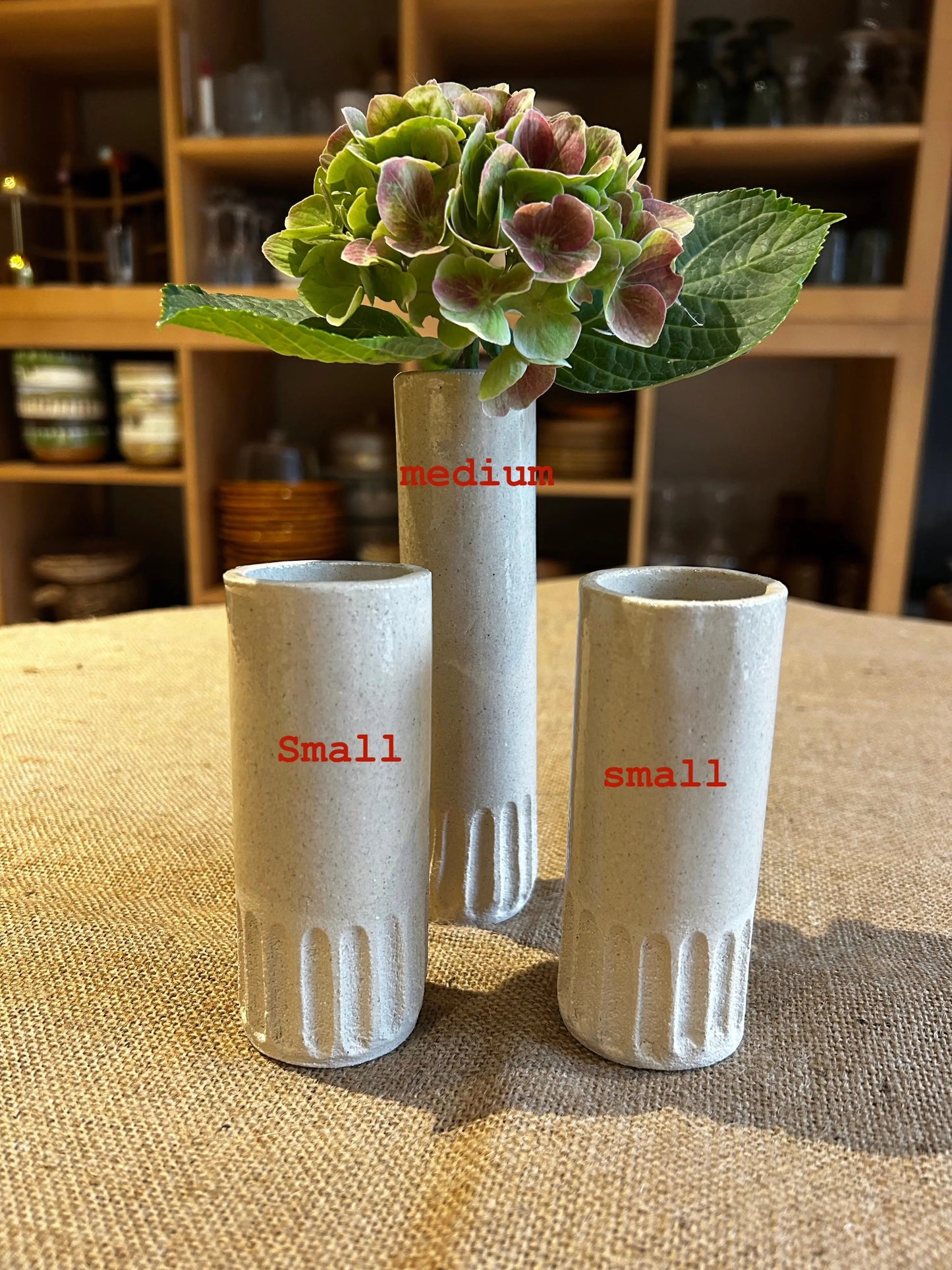 Soliflore, nouveauté